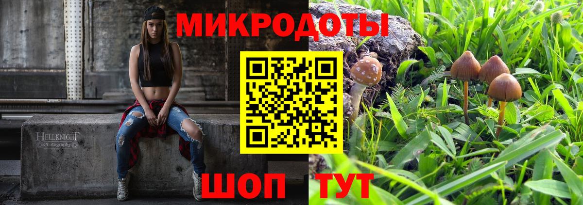 Воронеж  Галлюциногенные грибы GOLDEN TEACHER  Вход с VPN 